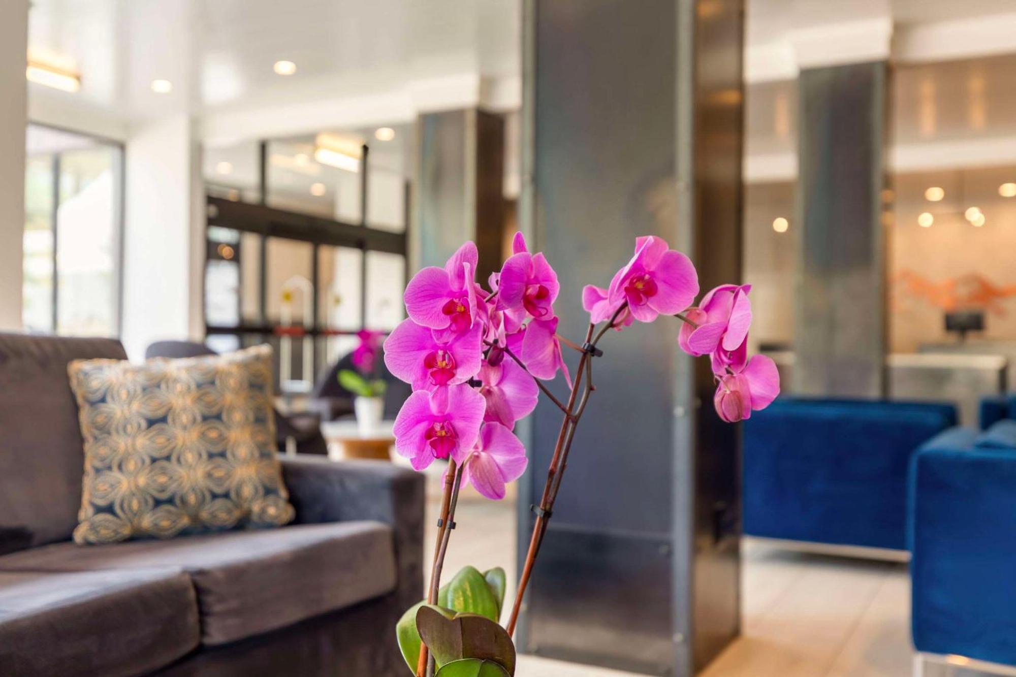 Cambria Hotel Copper Mountain Фриско Экстерьер фото