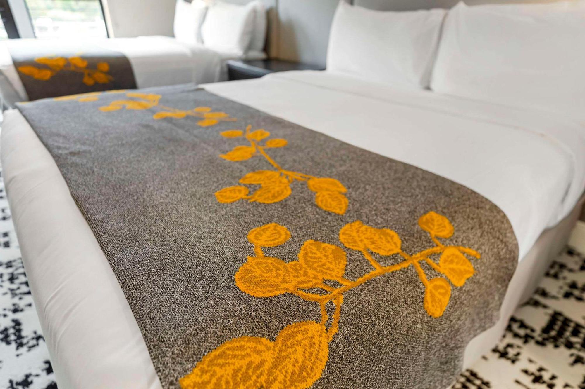 Cambria Hotel Copper Mountain Фриско Экстерьер фото