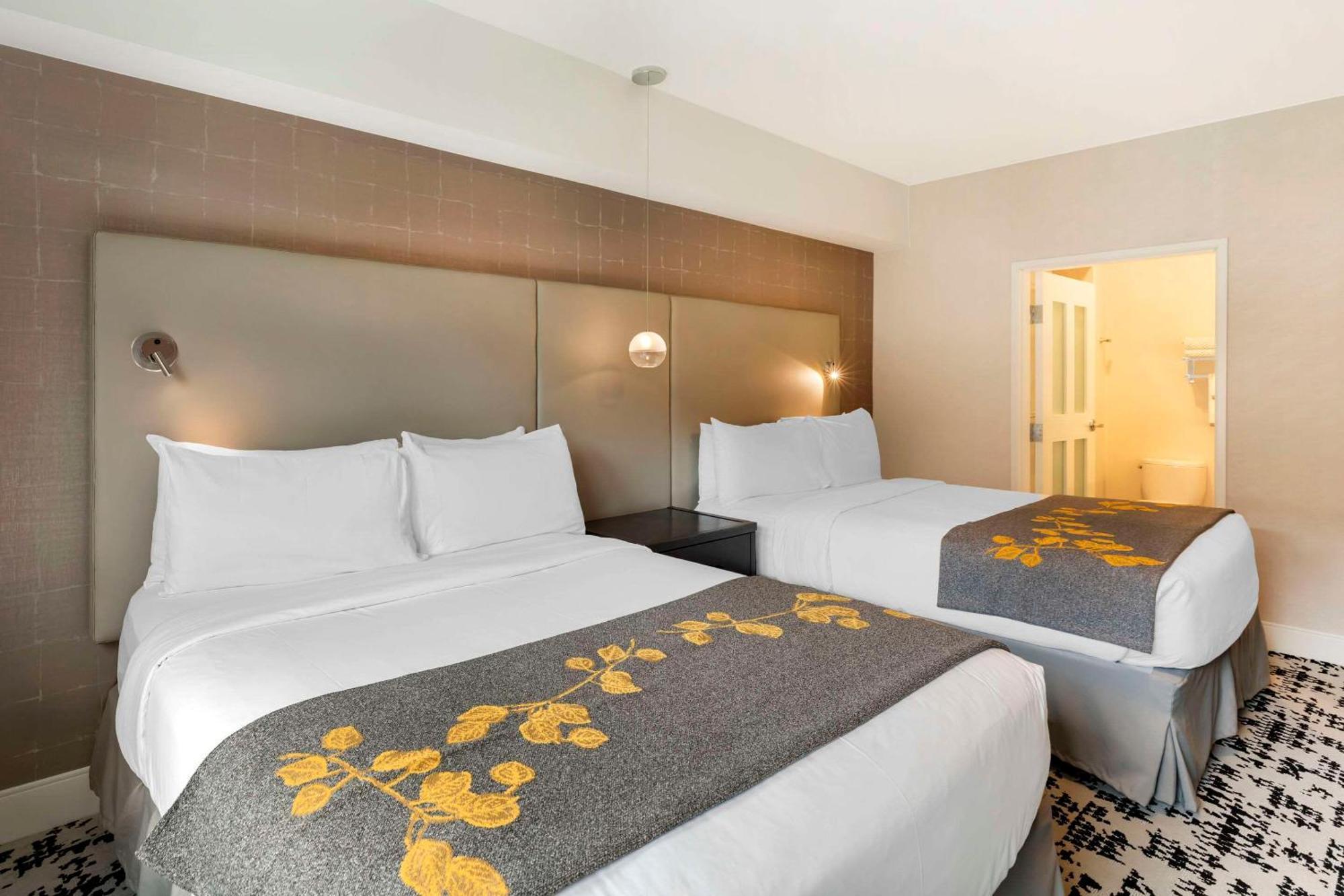 Cambria Hotel Copper Mountain Фриско Экстерьер фото